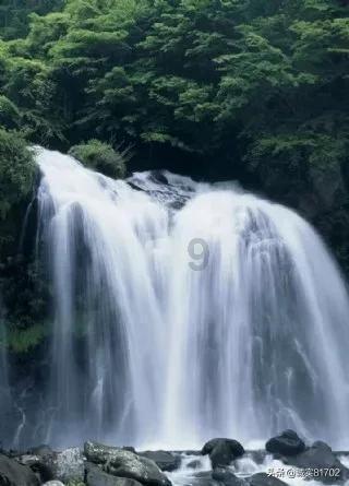 危险森林大逃脱